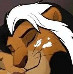 LavalionTLK's profile picture. Hey I'm lava my momma is @CockpooHoney
mate is @tlgviolet
sister: