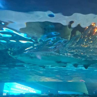 Guyanya's profile picture. 