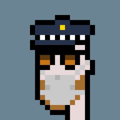 MisterBob0x's profile picture. Meme Estimator 🎨 | OG @Pond0x 💎🐷🟪 | #StayPhunky 😎