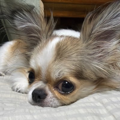 imkikiluvr's profile picture. 