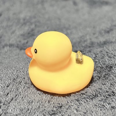 yu_kouseki's profile picture. 最近、綺麗な鉱物に目覚めた人です！無言フォロー失礼します、気軽に声掛けてもらえると喜びます！