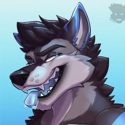 voltwolp's profile picture. car window connoisseur