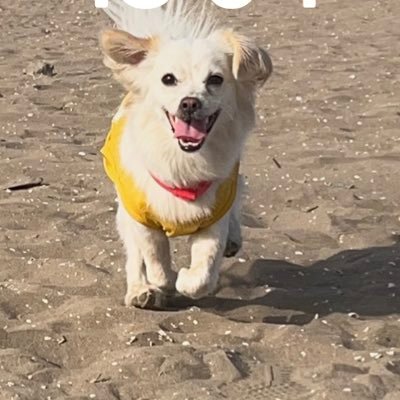 monanftart's profile picture. Nft creator/ https://t.co/MzTuXCizTk