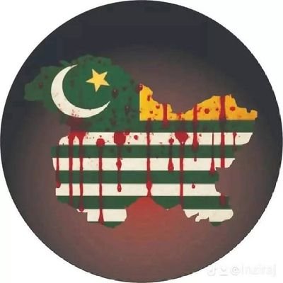 Nabeelhaider642's profile picture. Kashmiri voice | unapologetically loud | Advocating for justice, freedom & the unheard | Sharing stories of resilience |  
|KashmirMatters | DM for collabs