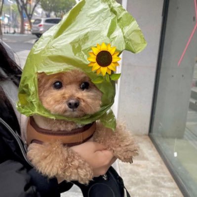 supercute_t Profile Picture