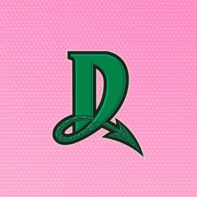 Bringing the heat since 2000. The official page of the Dayton Dragons Professional Baseball Team. #FeeltheFire 🔥🐉