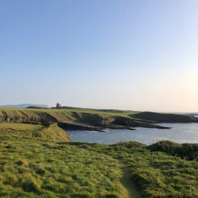 ErasmusMich's profile picture. 