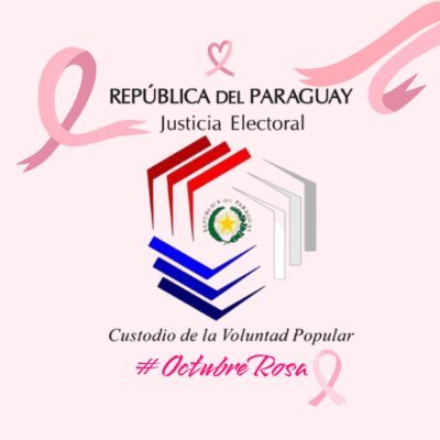 Cuenta Oficial de la Justicia Electoral, administrada por el Departamento de Redes Sociales de la Dirección de Prensa y Publicidad.