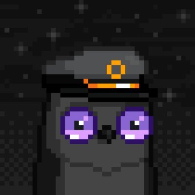 NotFail51's profile picture. OG DEGEN