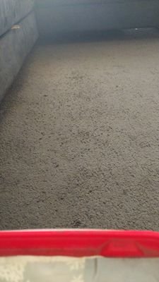 jurj66694's profile picture. فحل سادي عنيف
أخصائي ترويض كلبات وكلاب
اروضك واخنثك واديثك واتمتع بمحارمك
فحل امك واختك وزوجتك وبنتك
الكل خا ضع ذ ليل تحت ر جلي
.