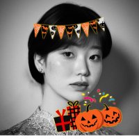 ミーコ(北区の住人) (@miikopapillon) 's Twitter Profile Photo