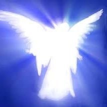 sh1newithirys's profile picture. Ambassador for communities and projects that have value
I help build connections, share knowledge and create activity🙌