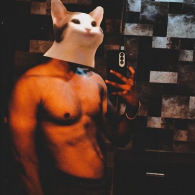 siphonitee's profile picture. Ex-Sales | Learning Rust and Solana