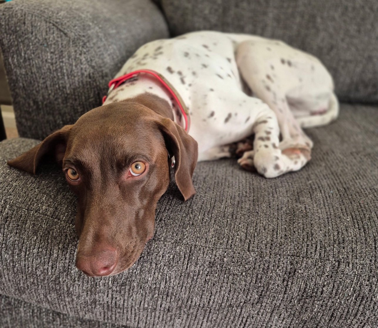 Ta2_Mike's profile picture. 