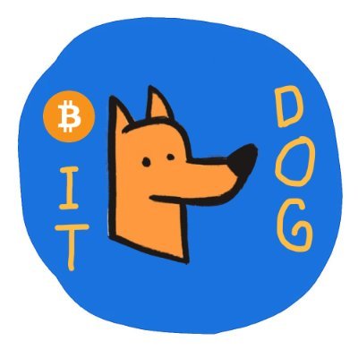 bitdogsol's profile picture. handdraw orange dog on Solana 🐕  
he doesn’t bark, he bites