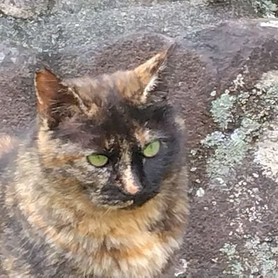 takuroboy's profile picture. 