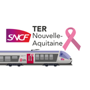 L'Info Trafic officielle TER en Nouvelle-Aquitaine, en temps réel, du lundi au vendredi 📲 #TERNA
Horaires : 6h-20h – en continu.