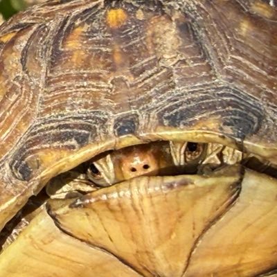 bland_rabbit's profile picture. Too old school, for the modern day agenda.