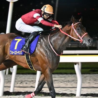 ウダさん@星映天下永遠の推し馬 (@udaemon7) / Posts / X