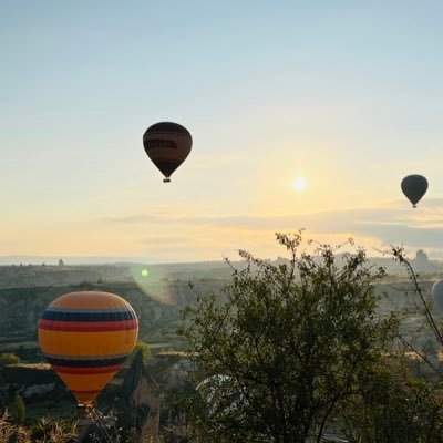 WangZouZhao's profile picture. 老当益壮，宁移白首之心，穷且益坚，不坠青云之志。