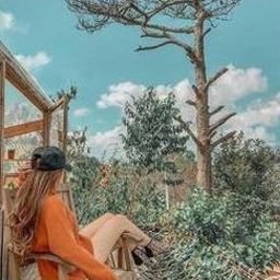 Afierui720's profile picture. 