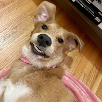 Sarabie17's profile picture.