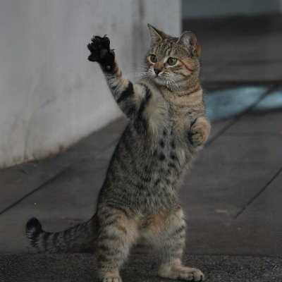 tran_dung230499's profile picture. 