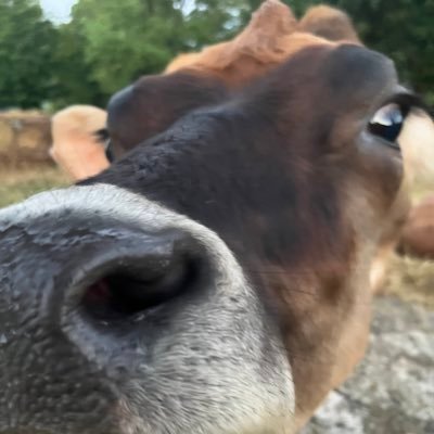 FFJaybuck's profile picture. 