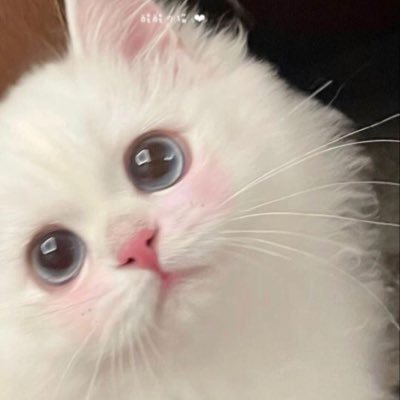 kilu27941674's profile picture. 