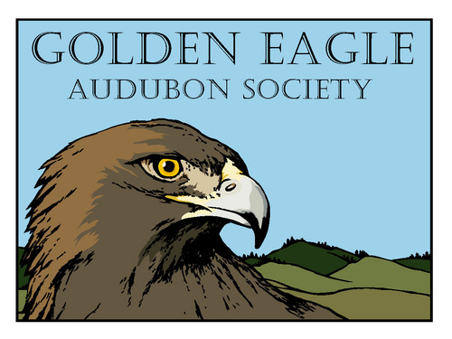 Southwestern Idaho’s chapter of the National Audubon Society. Dedicated to building an understanding and appreciation of nature in our community