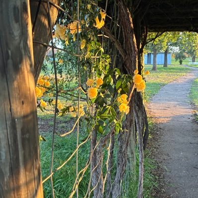 Taestytea3's profile picture. 21 looking for fun moots they/them I love everybody and seeing anything ;).        MDNI!!