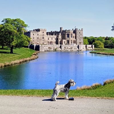 George0401's profile picture. 