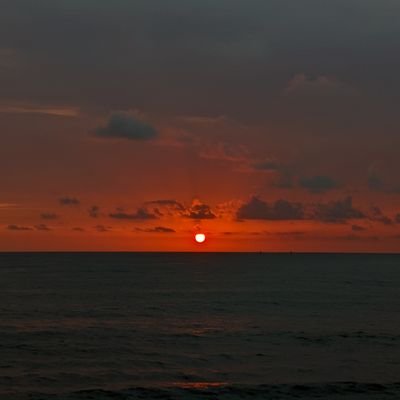@melvilled2000