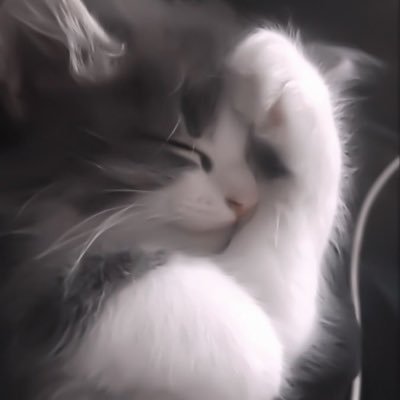It7Vp's profile picture. 