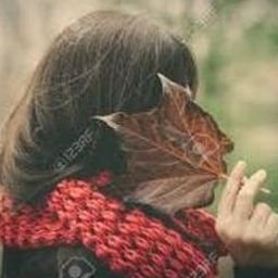 Loucaw193725's profile picture. 