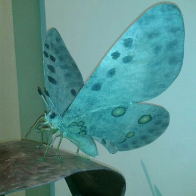 IHCAR9's profile picture. 