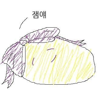핑퐁さんのプロフィール画像