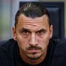 Ibra_official's profile picture. 