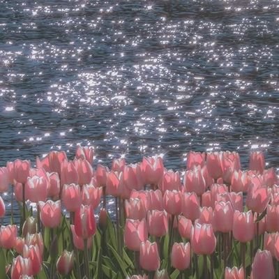 Jpcake22's profile picture. 