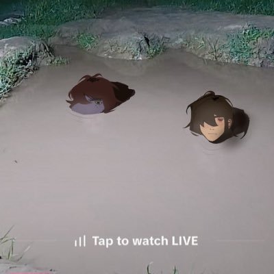 lrradiatedGoose's profile picture. .