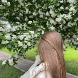 whitkerryl119's profile picture. 