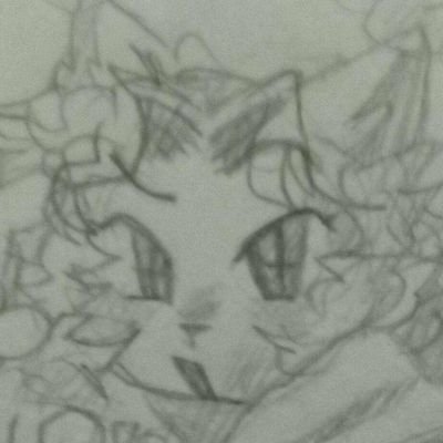 DrFirefoxさんのプロフィール画像