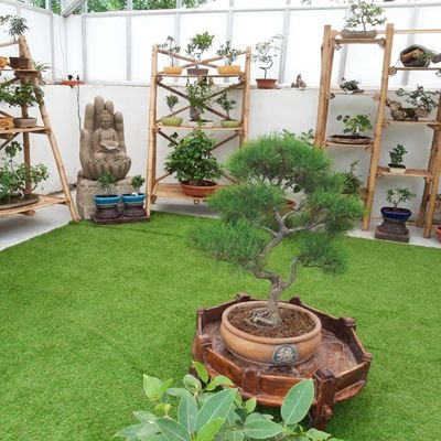 Amt29039356's profile picture. 