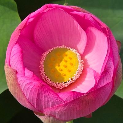 s20063AU's profile picture. ⚡2年
第三種電気主任技術者