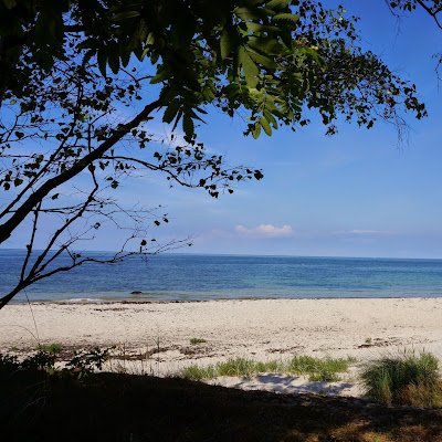 MN28364150's profile picture. 