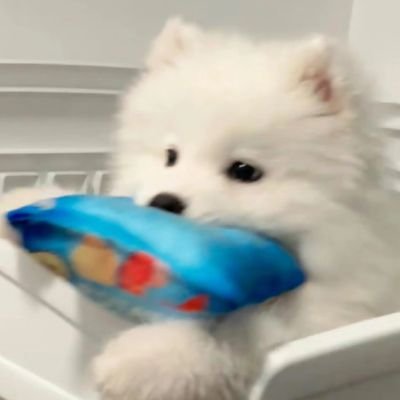 qiqi743's profile picture. 