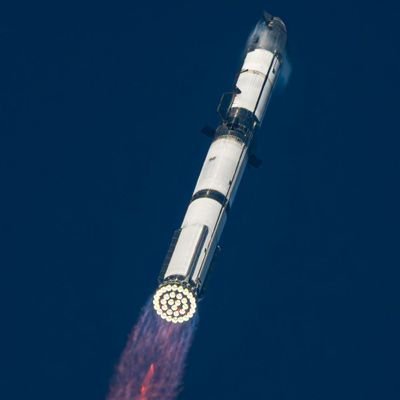 ealelonceo09292's profile picture. CEO-Twitter (X). SpaceX🚀, -Tesla-Cybertruck🚘