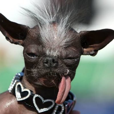 BhayiaJiSmile's profile picture. HAR HAR MAHADEV