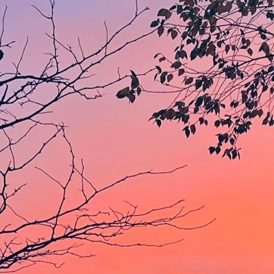 JulieB1070's profile picture. Canadian - American. Loves music, films, travel and a good glass of Merlot (not necessarily in that order)