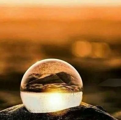 Birdinangry's profile picture. 永不期待 ... #Bitcoin #BNB #ETH #ATOM